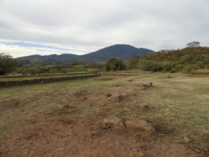 Guachimontones site section